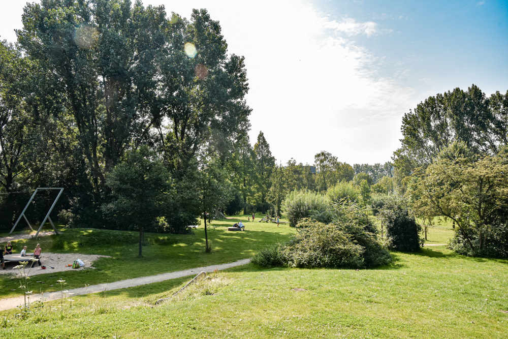 Groenhovenpark grasveld en bomen